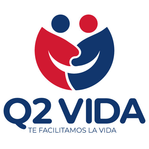 Q2 VIDA